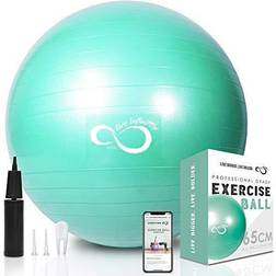 Live Infinitely Exercise Ball Extra Thick Workout Pregnancy Ball Chair for Home Workout (Mint 55cm)