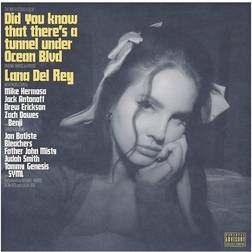 Did You Know That There's A Tunnel Under Ocean Blvd (2 LP) (Vinyl)