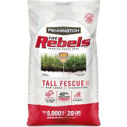Pennington The Rebels 20-lb Tall Fescue Grass