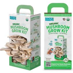 Back To The Roots Organic Mushroom Grow Kit Oyster