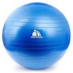 Meteor Fitness ball 65 cm with pump (31133)