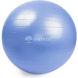 BIGTREE Yoga Ball Core Stability 75"