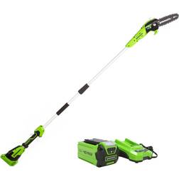 Greenworks 8inch 40v cordless pole saw, 2ah battery, ps40l210