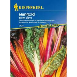 Kiepenkerl Mangold Bright Lights Beta vulgaris var. vulgaris, Inhalt: