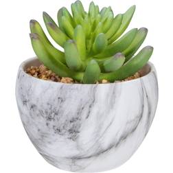 Northlight 4.25" Green Artificial Succulent Marble Pot