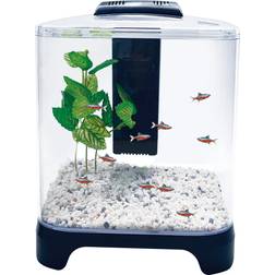 Penn Plax Betta Fish Tank Kit with LED Light, 1.5 gal