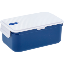 Funktion Lunchbox with cooling element Matboks