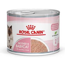 Royal Canin Mother & Babycat Mousse 12x195g