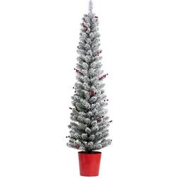 Haute Decor 5Ft Pre-Lit Flocked Berry Artificial with Christmas Tree