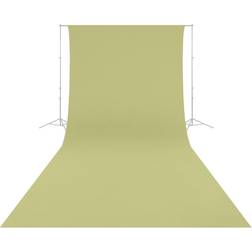 Westcott 9x20' Wrinkle-Resistant Backdrop, Light Moss Green