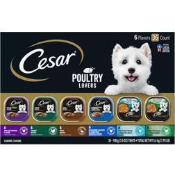 Cesar Wet Dog Food Poultry Lovers Variety Pack