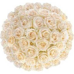 Flowers for Weddings Fresh Cut White Roses Bunches 50