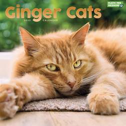 Ginger Cats Square Wall Calendar 2023