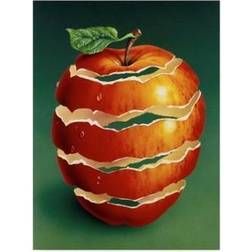 Trademark Fine Art 'Red Apple Peal' Acrylic Painting Print on Wrapped Wall Decor