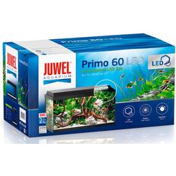 Juwel Primo 60 LED