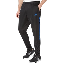 adidas Tiro 21 Track Pants Men - Black/Team Royal Blue