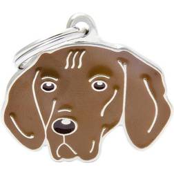 MyFamily dog id tag 72 engraved free personalised identity