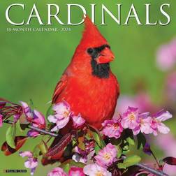 Willow Creek Press Cardinals 2024 Calendar