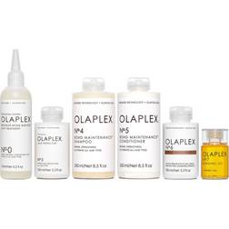 Olaplex Complete Hair Repair System