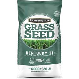 Pennington Kentucky Grass Sun Grass Seed