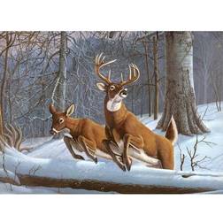 Royal & Langnickel Paint by numbers white tails