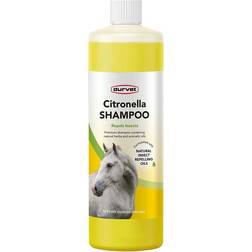 MWI Animal Health Durvet Citronella Equine Shampoo