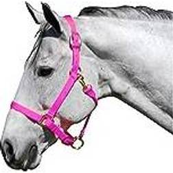 Intrepid Neon Nylon Adjustable Halter Horse Neon Pink