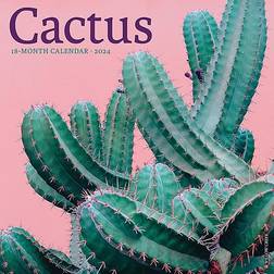 Willow Creek Press Cactus 2024