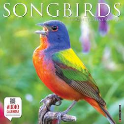 Willow Creek Press Songbirds 2024
