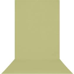 Westcott 5x12' X-Drop Wrinkle-Resistant Backdrop, Light Moss Green
