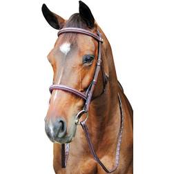 HDR Pro Fancy Raised Comfort Crown Padded Bridle Havana Horse