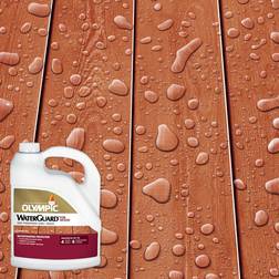 Waterguard Exterior Wood Stain & Sealer Transparent Sequoia 1 Floor Paint Red