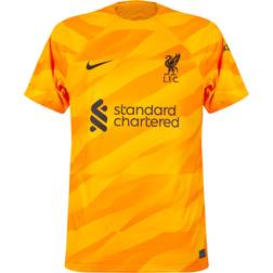 Nike Liverpool Goalkeeper Jersey 23/24 Yellow-l no color