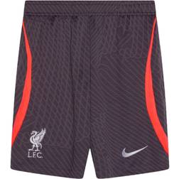 Nike 2023-2024 Liverpool Training Shorts Gridiron Grey 42-44" Waist 109/121cm