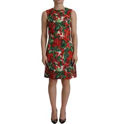 Dolce & Gabbana Multicolor Geranium Cotton Knee Length Women's Dress