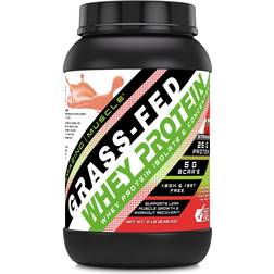 Amazing Muscle Grass FED Whey Protein Strawberry 900g