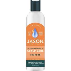 Jason Anti-Dandruff Scalp Care Shampoo 12fl oz