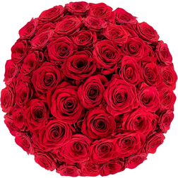 Flowers for Weddings, Love Flowers Fresh Cut Red Roses Cut Flowers 50