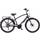 Electra Townie Path Go! 10D Step-Over 2020 Men's Bike