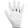 Bionic Stablegrip Cabretta Glove LH W