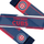 Foco Chicago Cubs Color Wave Wordmark Scarf