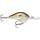 Rapala DT 2" Live River Shad