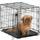 Midwest iCrate Single Door Folding Dog Crate