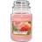 Yankee Candle Sun Drenched Apricot Rose Large Duftlys 623g