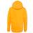 Hanes Youth Hooded Sweatshirt - Gold