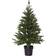 Star Trading Busch Green Weihnachtsbaum 90cm