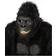 Orion Costumes Motion Crazy Gorilla Adult Mask