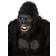 Orion Costumes Motion Crazy Gorilla Adult Mask