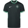 Nike Nigeria Stadium Away Football T Shirt 2020 Sr