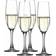Spiegelau Authentis Champagne Glass 6.425fl oz 4